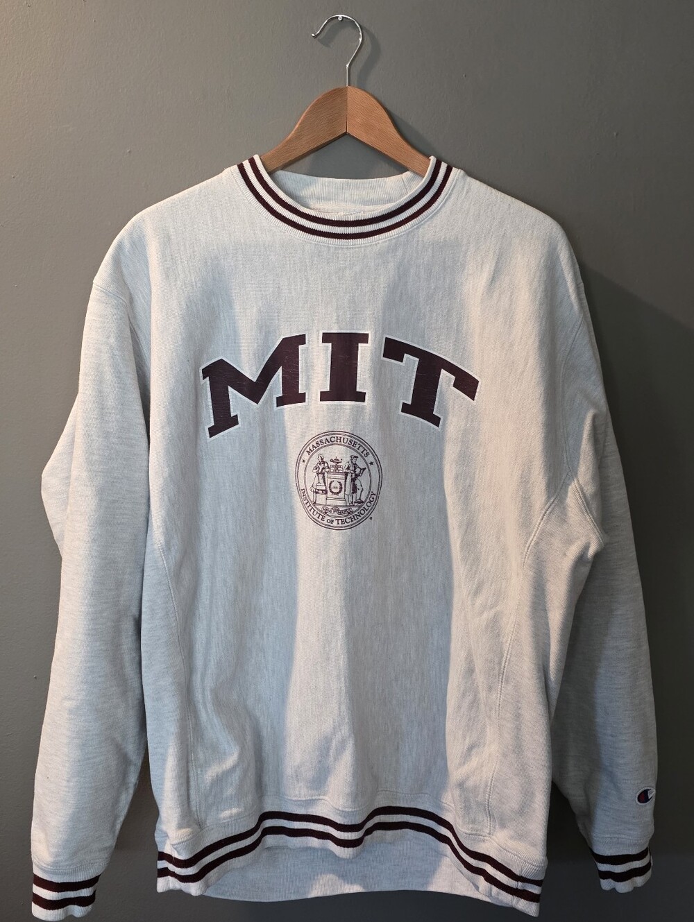 Vintage Champion 90's Reverse Weave MIT‎ Ivy League Grey Sweatshirt L